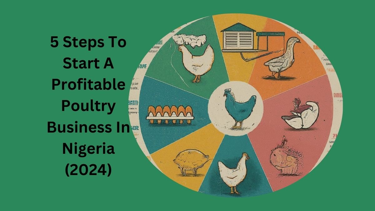 TAO Junction | 5 Steps To Start A Profitable Poultry Business In ...