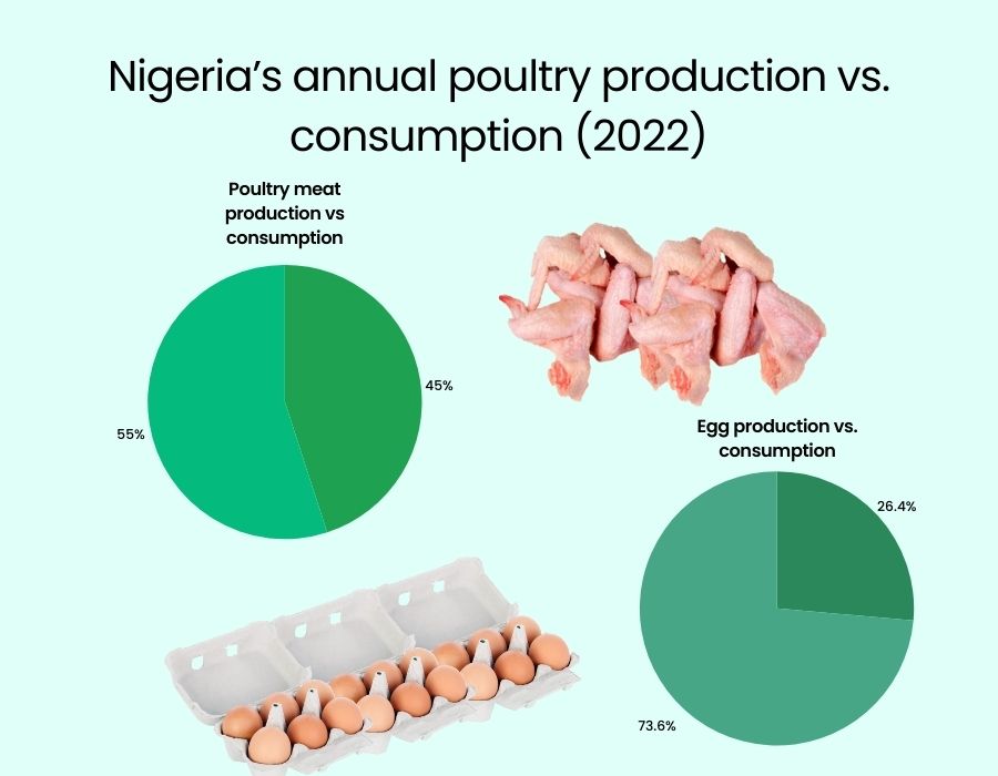TAO Junction | 5 Steps To Start A Profitable Poultry Business In ...